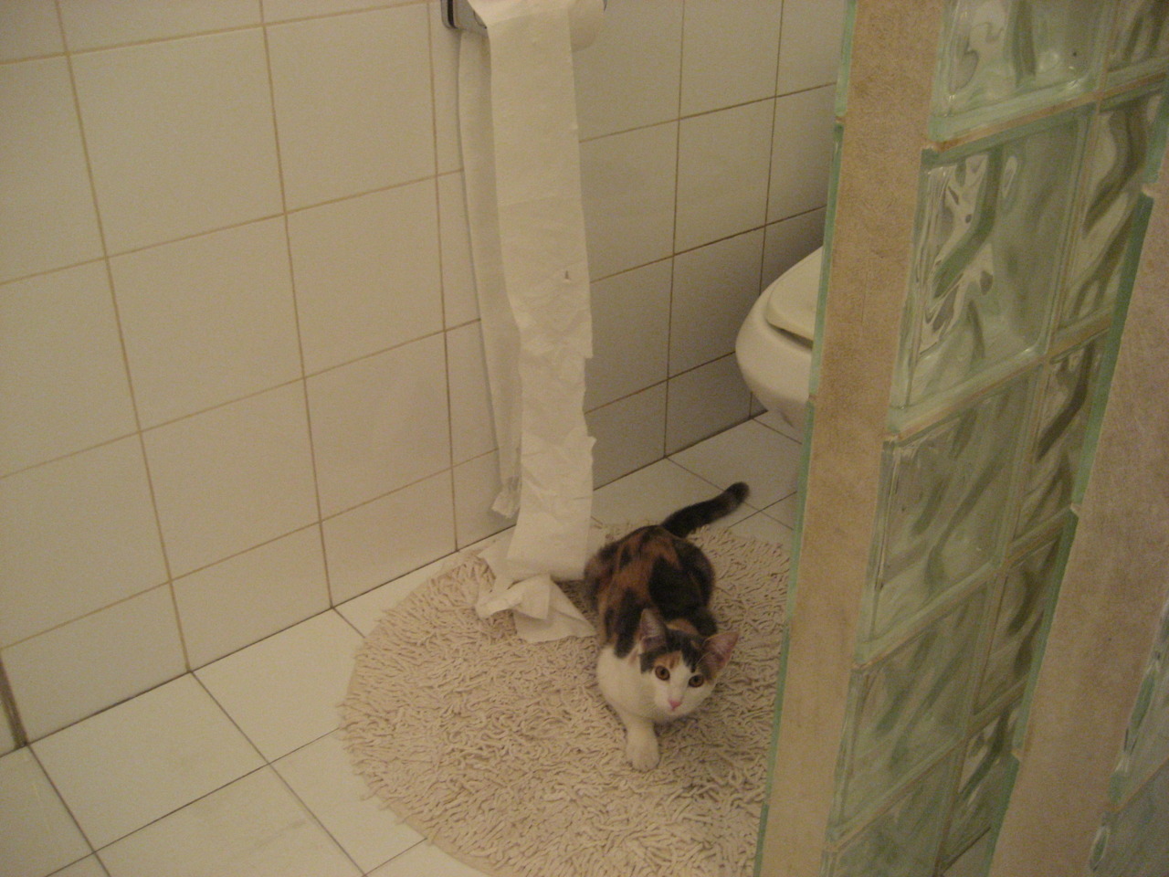 华体会体育-沉默核爆，恩比德的涅槃与硬仗之王的冰冷正名  第1张